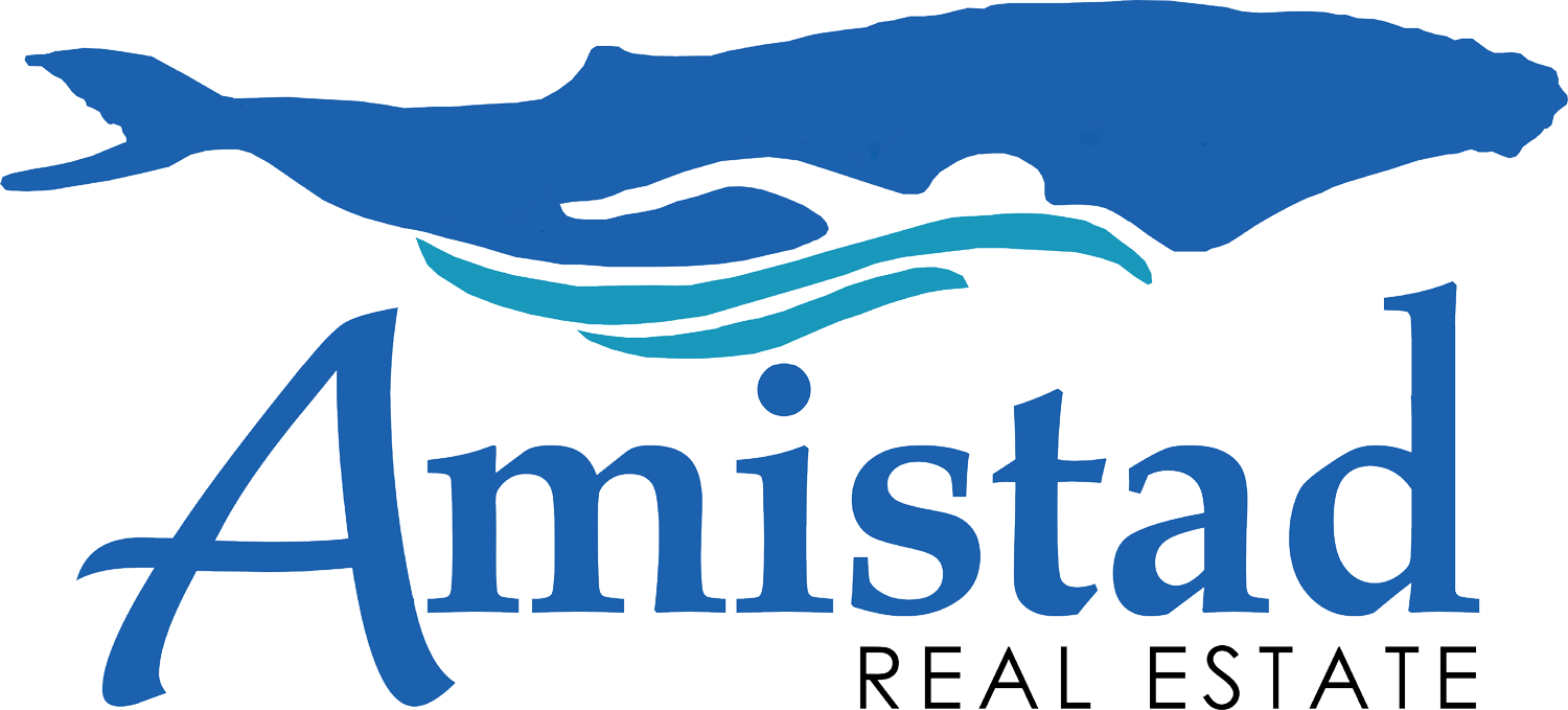 amistad logo