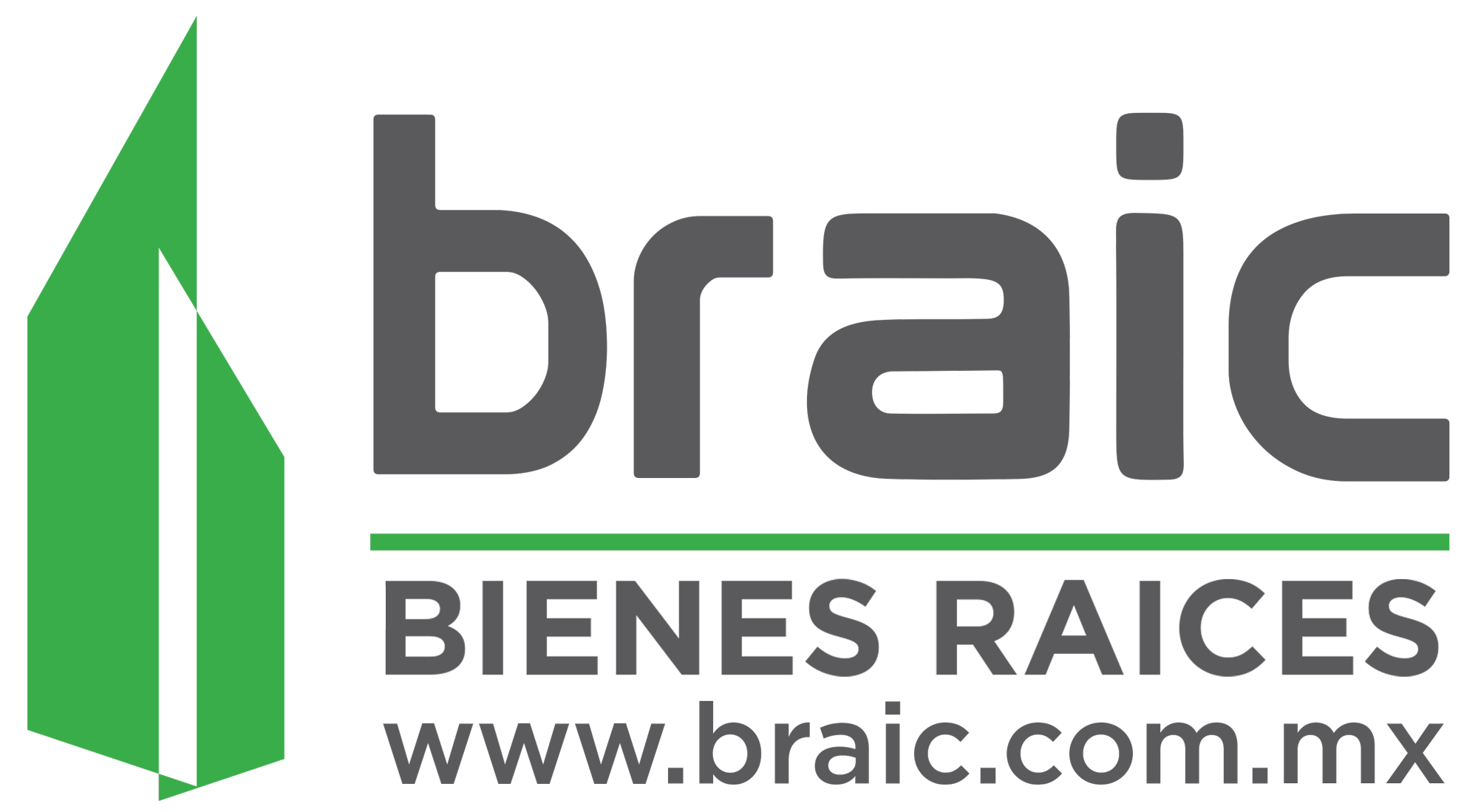 Socios AMPI braic logo