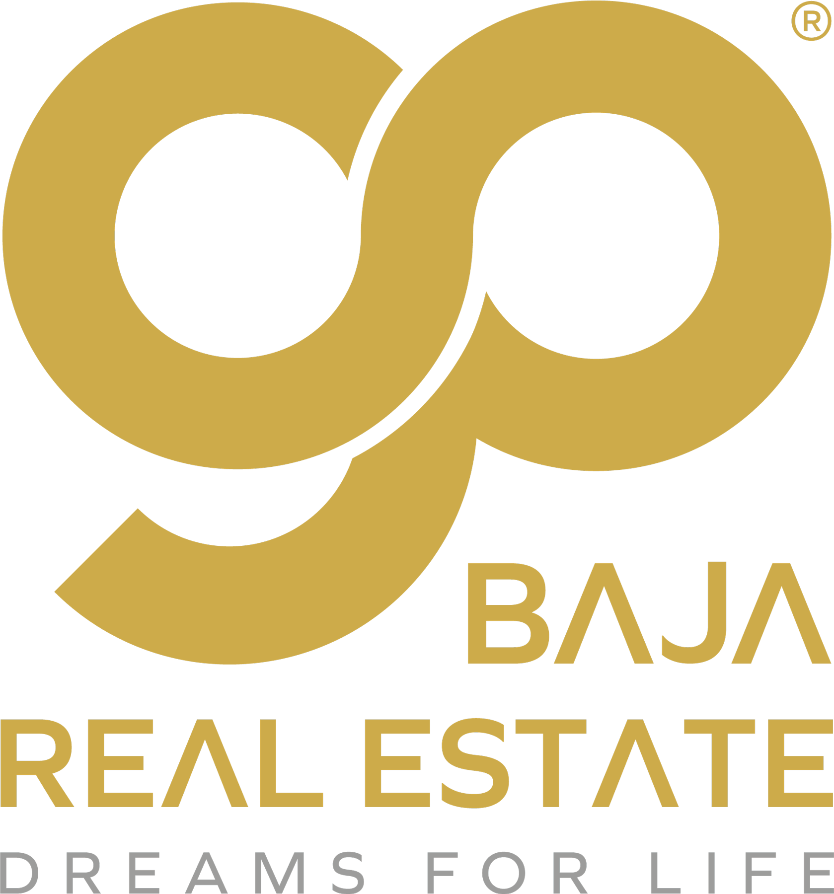 Socios AMPI go baja logo
