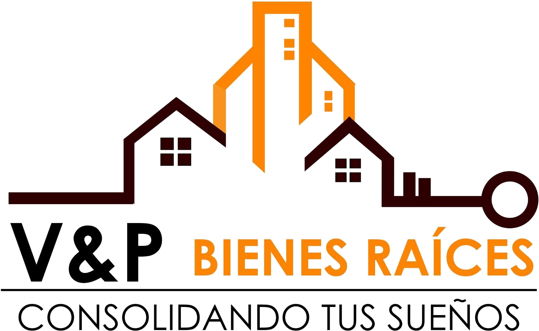 vp logo